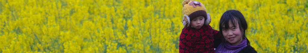 headerpic2.2014.head